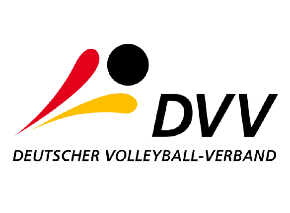 DDV Logo